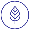 Viherlava-1